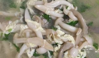 白玉菇肉片汤做法 白玉菇汤的做法